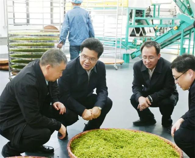 王剑锋在溧阳调研